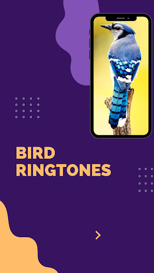 bird ringtones - Birds Sound Screenshot 1