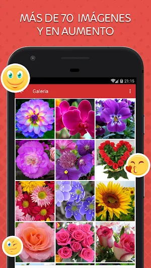 Imágenes de Flores Screenshot 0
