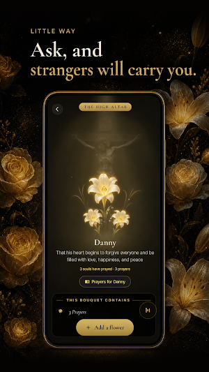 Little Way: Catholic Rosary Screenshot 3