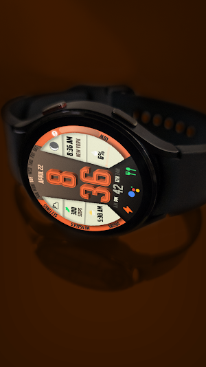 RW95 Chrono Ion View Screenshot 0