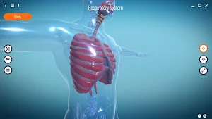 Roqed Screenshot 1