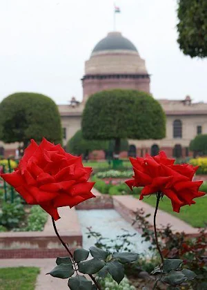 New Delhi Wallpaper HD Screenshot 0