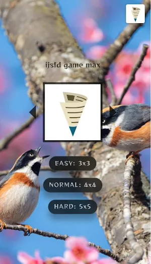 ijsfd game max Screenshot 0