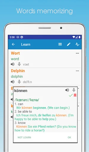 Word Dolphin: vocabulary tutor Screenshot 3