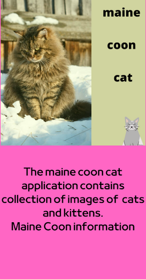 maine coon cat Screenshot 1