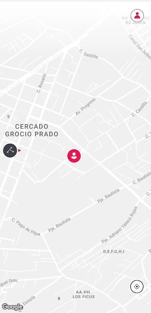 Colectyred Pasajero Screenshot 0