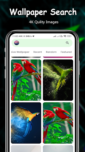 Parrot Bird Wallpapers Screenshot 1
