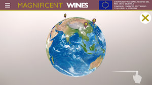 MW - MAGNIFICENT WINES Screenshot 0