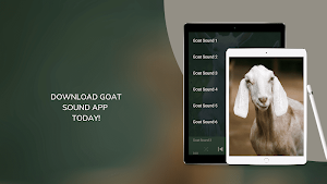Goat Sounds Screenshot 2