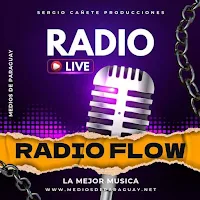 RADIO FLOW 91