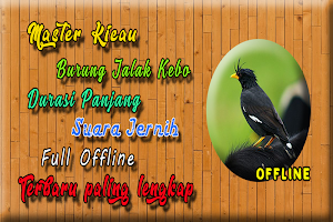 Suara Burung Jalak Kebo MP3 -  Screenshot 2