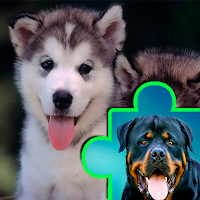 Dogs Puppies Puzzles Jigsaws