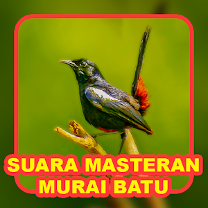 Suara Masteran Murai Batu Screenshot 3