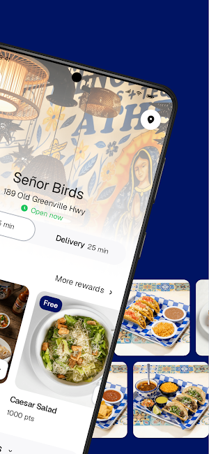 Señor Birds Screenshot 1