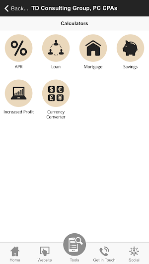 TD Consulting Group, PC - CPAs Screenshot 1