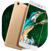 Theme, Oppo F1s Selfie Neo 7
