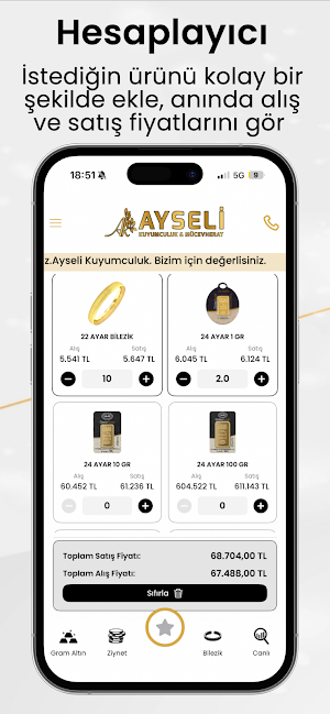 Ayseli Kuyumculuk & Mücevherat Screenshot 2