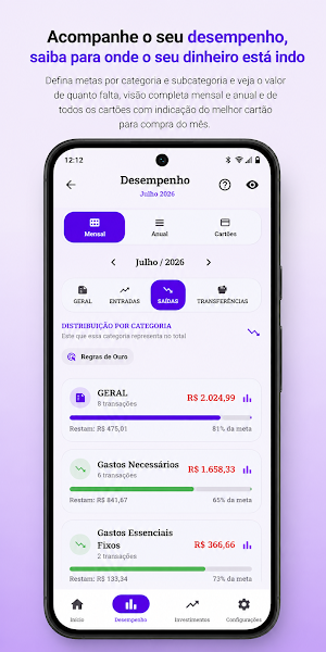 Finances Balance WP Screenshot 3