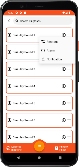 Blue Jay Sounds Screenshot 3