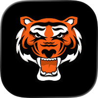 Rawlings Tigers VIP