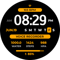 EXD204: Personal Watch Face