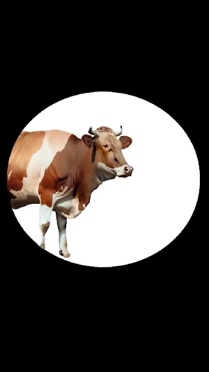 Pe PeAnimales Screenshot 1