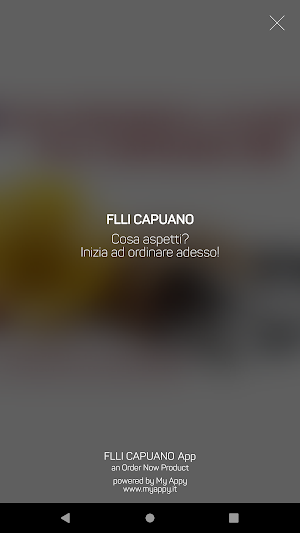 FLLI CAPUANO Screenshot 3