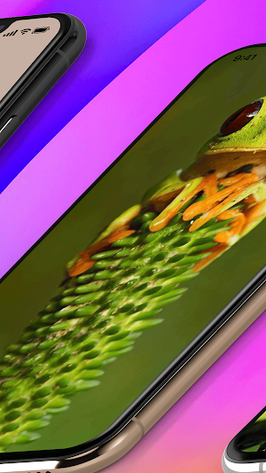 Frog Wallpaper Cute Screenshot 2