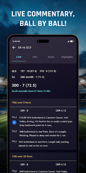Live Cricket Score Screenshot 3