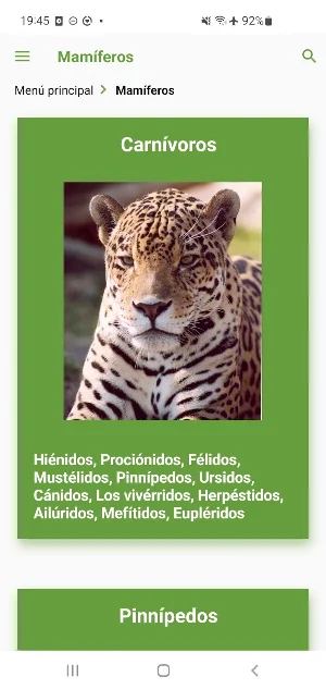 Animales. Zoogalaxy Screenshot 2