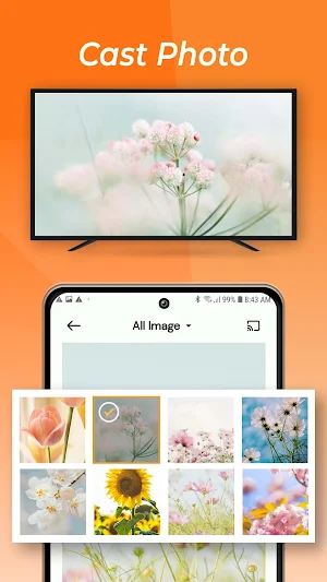 Cast to TV: Screen Mirroring Screenshot 3