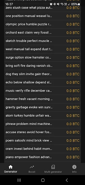 Lost Bitcoin Recover Screenshot 1