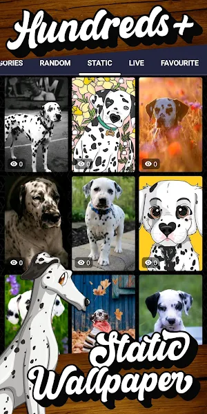 dalmatian wallpaper Screenshot 3