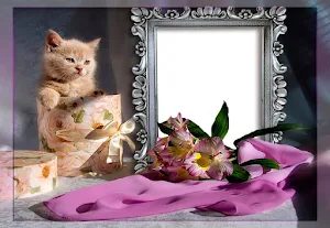 Cat And Dog Photo Frames Screenshot 3