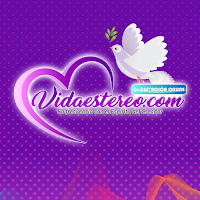 Vida Estereo