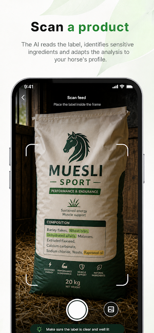 Equio: Horse Safety Screenshot 2