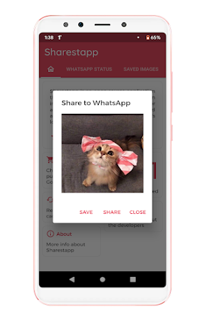 Sharestapp - save & share Inst Screenshot 2