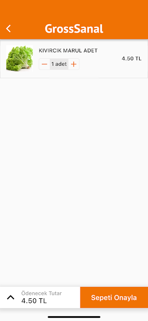 Gross Cepte Screenshot 2