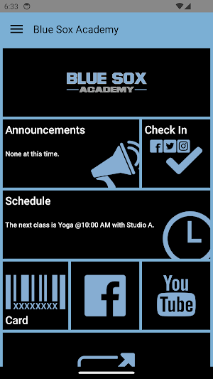 Blue Sox Academy Screenshot 1