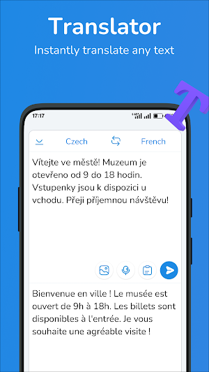 Czech-French translator Screenshot 0