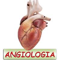 Human Anatomy. Angiology