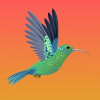 Troubled Bird