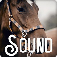 Horse Soundboard Ringtones