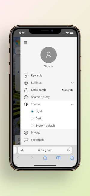 IOS Browser Screenshot 2