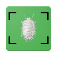 Food Insects Tracker