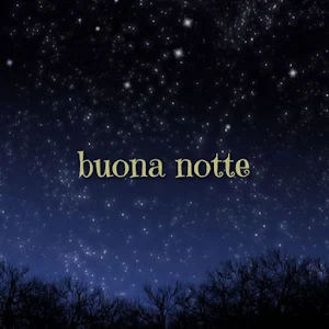 Buonanotte Immagini GIF 2023 Screenshot 2