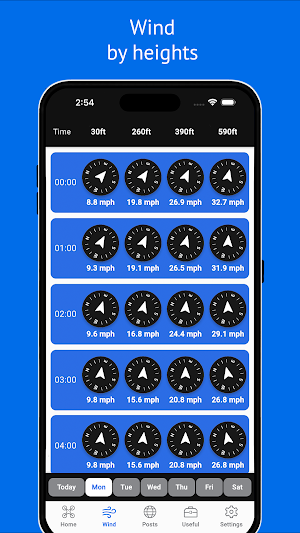 FlyerApp: Forecast and tools Screenshot 1