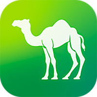 Camel Live