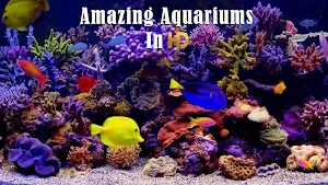 Amazing Aquariums In HD Screenshot 0