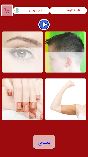 body learning Screenshot 2